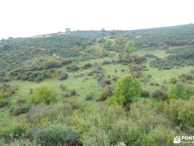 Pinar de Casasola-Embalse del Villar; mejores rutas senderismo españa el paular rascafria galayos ru